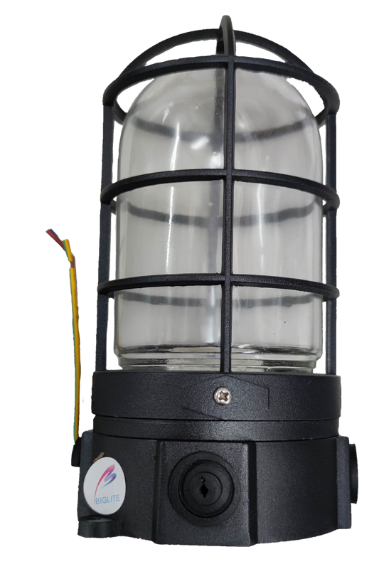 Biglite vapor proof lamp fixture with protective black metal cage and clear glass cover for lighting installation