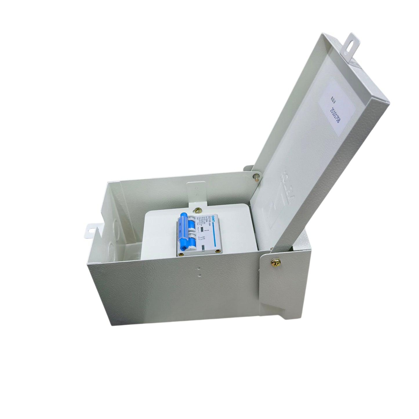 Chint 80A 2Pole 10KAIC 220V with Nema 3r Enclosure K63N NEMA3RE-2P/3P+DZ158-1252P80A10KA