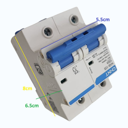 Chint 100A 2Pole Single Phase 10 KAIC 220V Miniature Circuit Breaker (DIN Rail Type) (MCB) NXB-125 100A 2P