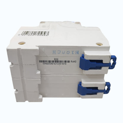 Chint 100A 2Pole Single Phase 10 KAIC 220V Miniature Circuit Breaker