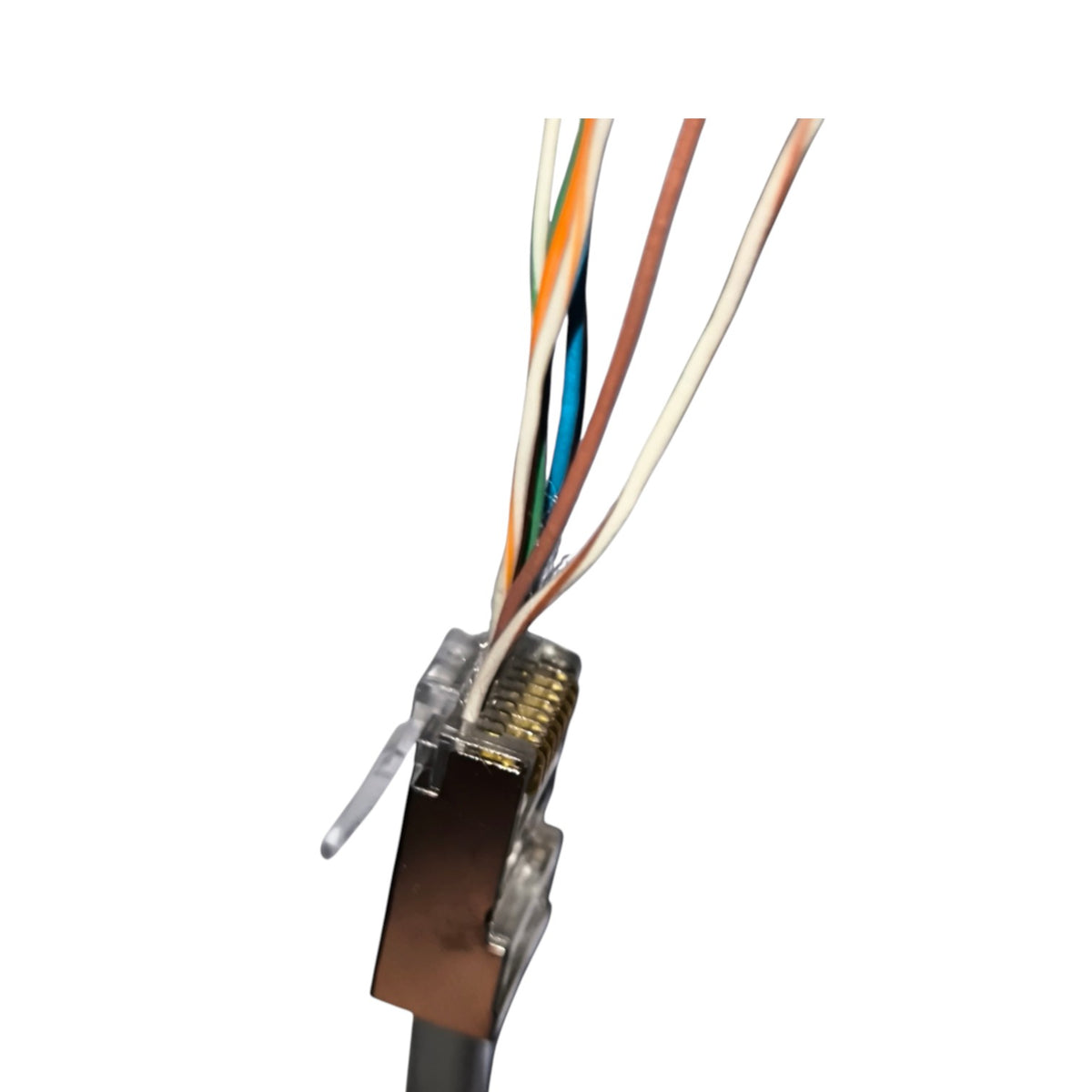 Close-up of an RJ45 Ethernet connector with multicolored twisted pair wires exposed, on a plain white background.