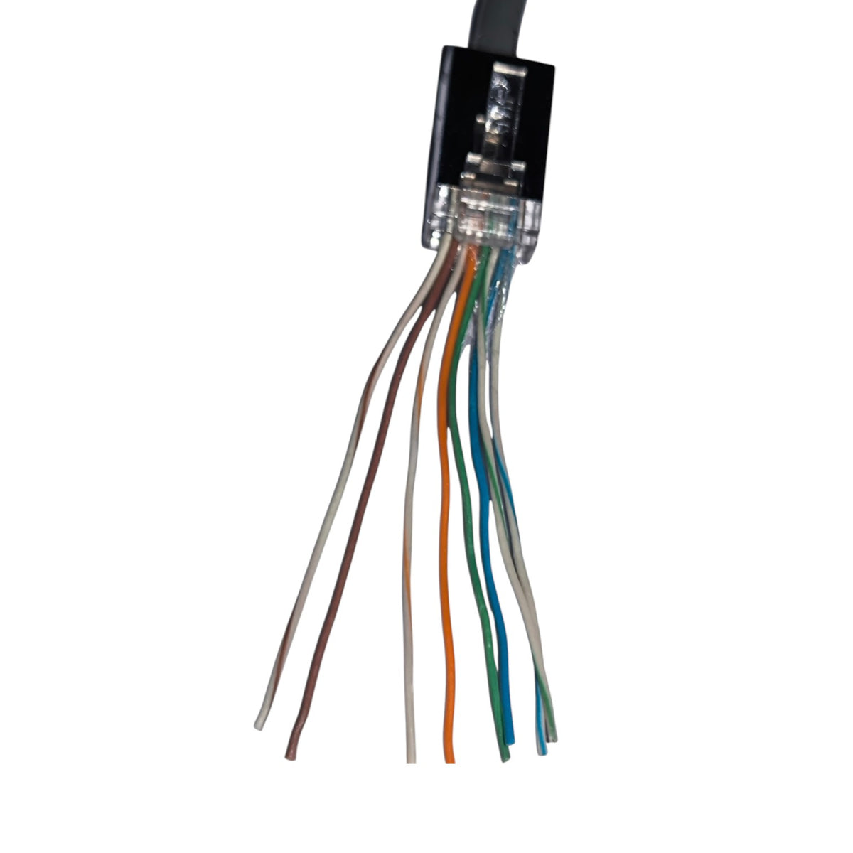 A close-up of a RJ45 Ethernet connector showing the internal wiring with six colored cable strands (brown, gray, orange, green, blue, white) extending downward on a solid white background.