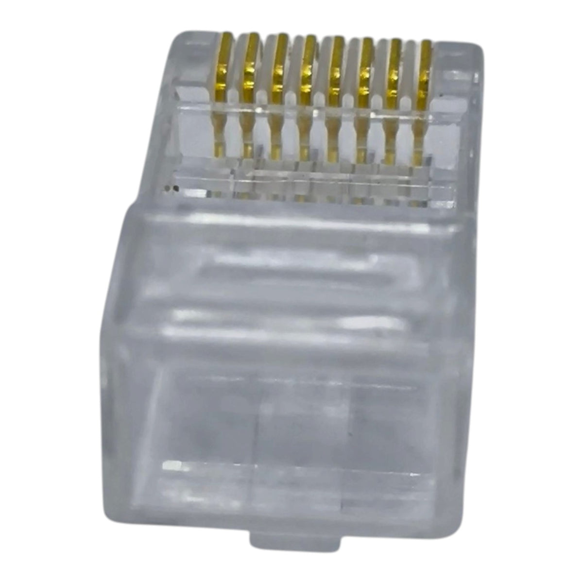 A single RJ45 network module connector with gold-plated pins in a clear plastic housing, isolated on a white background.