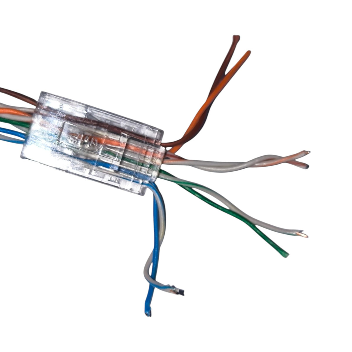 A clear plastic multi-core CAT6 cable connector showing the internal twisted pairs of orange, white, green, and blue wires extending from the transparent housing on a white background.