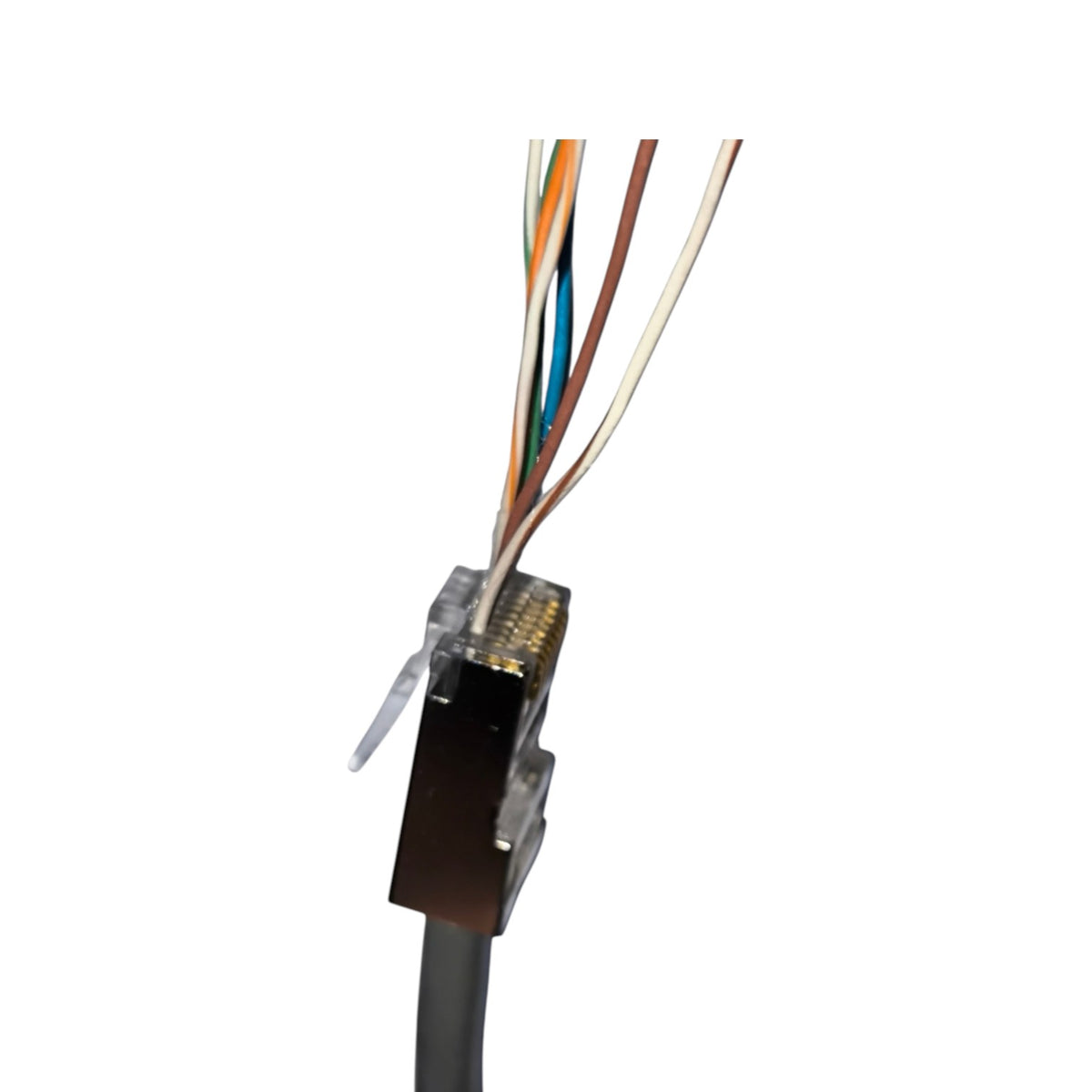 A close-up of an RJ45 Ethernet connector with multicolored internal wires visible, on a plain white background.