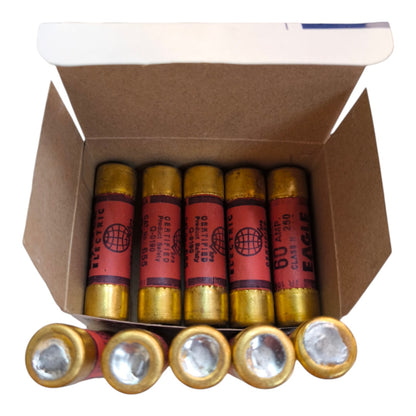 A cardboard box containing five gold-colored shotgun shells with red paper labels, with five more shells laid out in front on a white background.