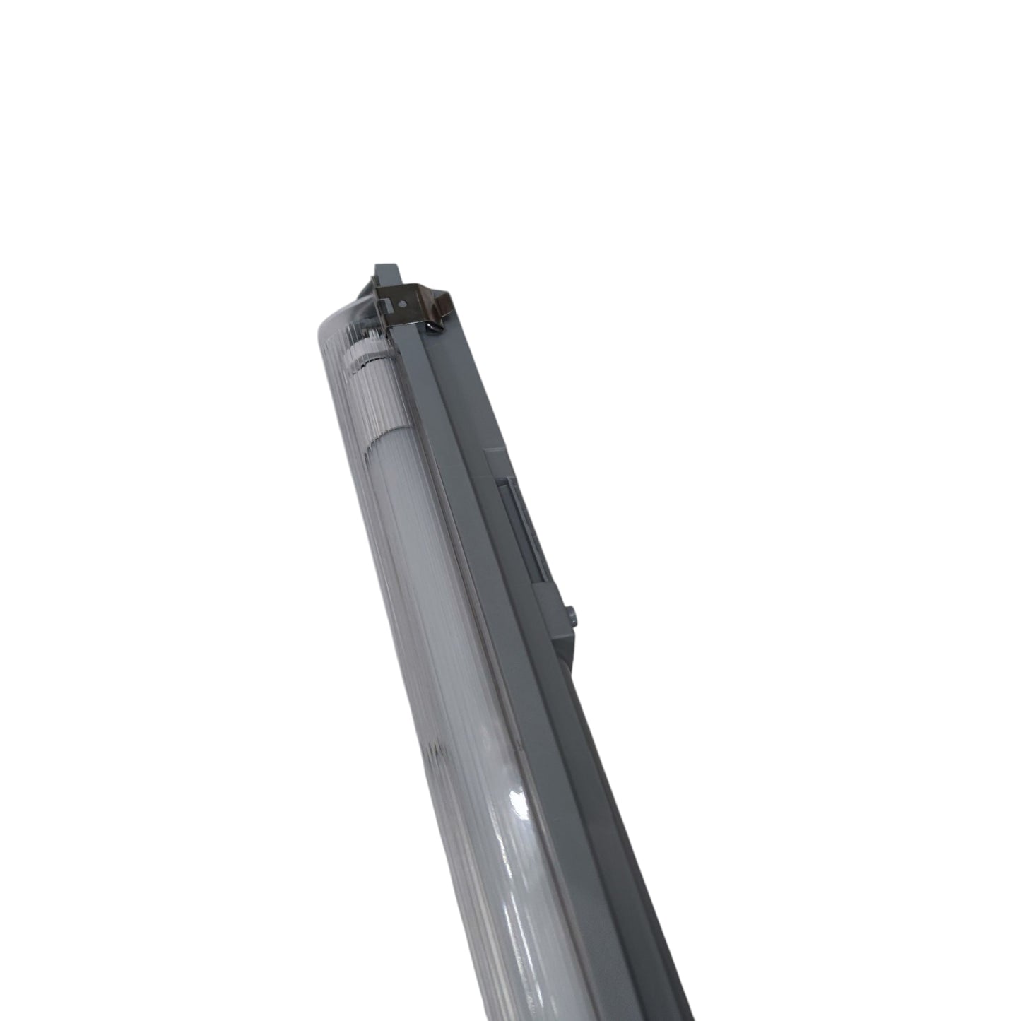 T8 LED tube light on a white background