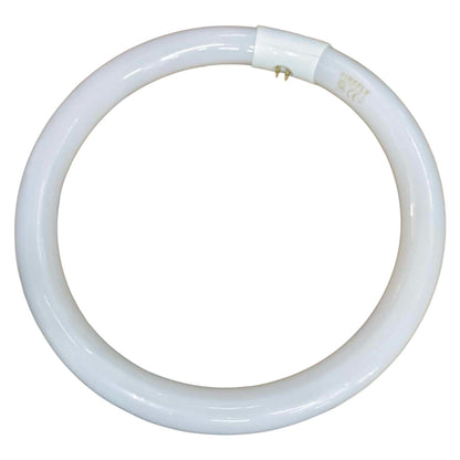 Circular white light bulb on a white background