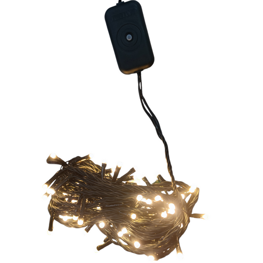 Firefly LED Christmas Light 100 Light 7 Meters 4 Effects Warm White 220V Green Wire FXL12100WW Electx