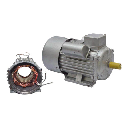 An industrial electric motor shown alongside its exposed stator winding components on a plain white background.