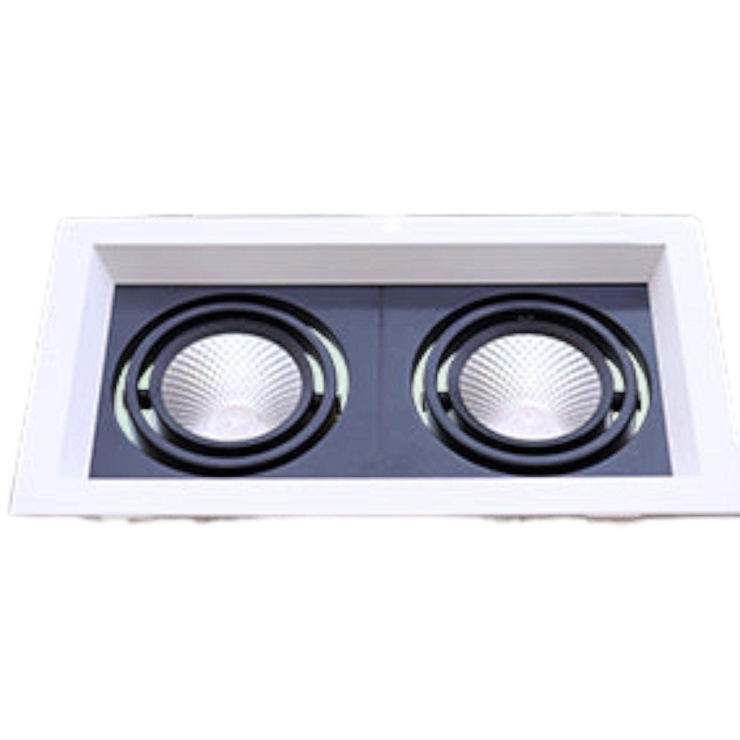 A two-light recessed ceiling fixture with square white outer frames and circular black-trimmed LED reflectors on a dark gray inner plate, shown against a plain white background.