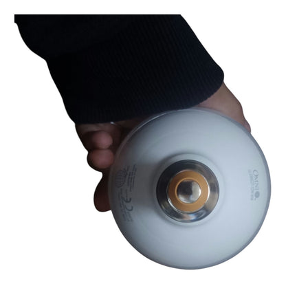 Omni 12W LED Globe Bulb E27 220V 6500k Daylight or 2700k Warm White LLG95E27-12W I Electx Electrical Supply