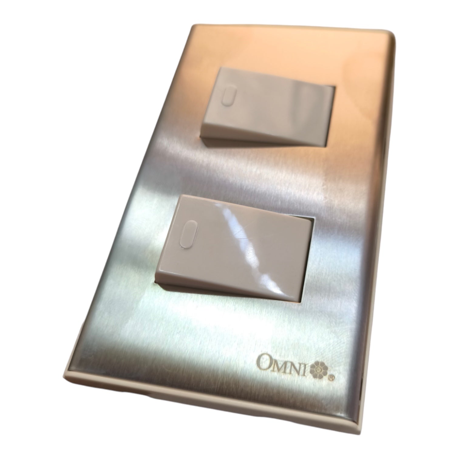 A two-light switch plate set in brushed stainless steel with two beige plastic rocker switches, featuring the 'OMNI' brand logo in the bottom right corner.