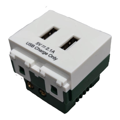 A dual USB-C charging adapter with a white top cover, black printed text reading '5V=2.1A USB Charge Only', and a dark green base with two gold metal contacts, shown on a plain white background.
