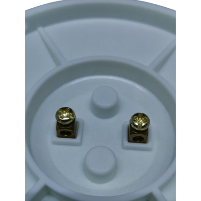 Two gold-colored bolts on a white plastic base