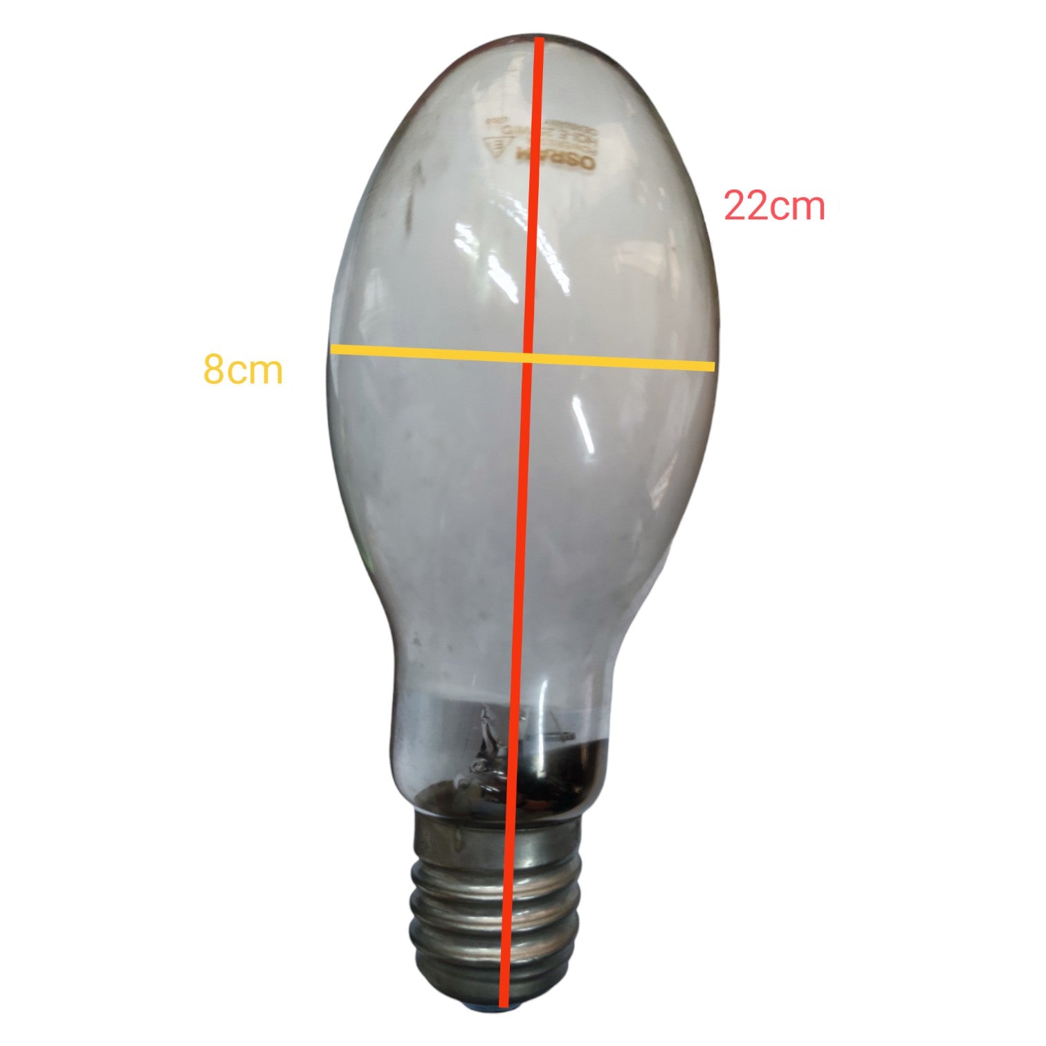 Clear light bulb with measurements on a white background