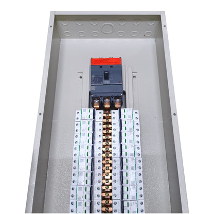 Panel Board Only Schneider Breaker Main EZC250 250AF 3 Pole MCCB 40 Branches 1 Pole IC60N, 20 Branches 2 Pole, 12 Branches 3 Pole