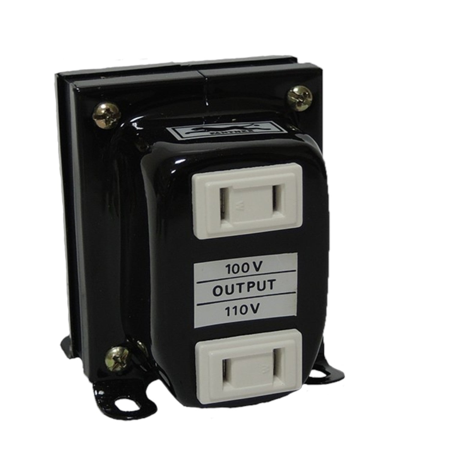 A black electrical transformer or power adapter with two white AC outlets on the front, labeled '100 V OUTPUT 110V'.