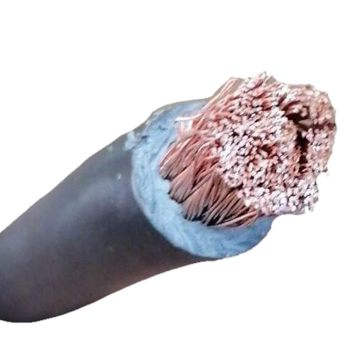 A close-up of a thick black cable or wire with a cut end showing copper-colored inner strands and a light blue insulating layer, isolated on a white background.