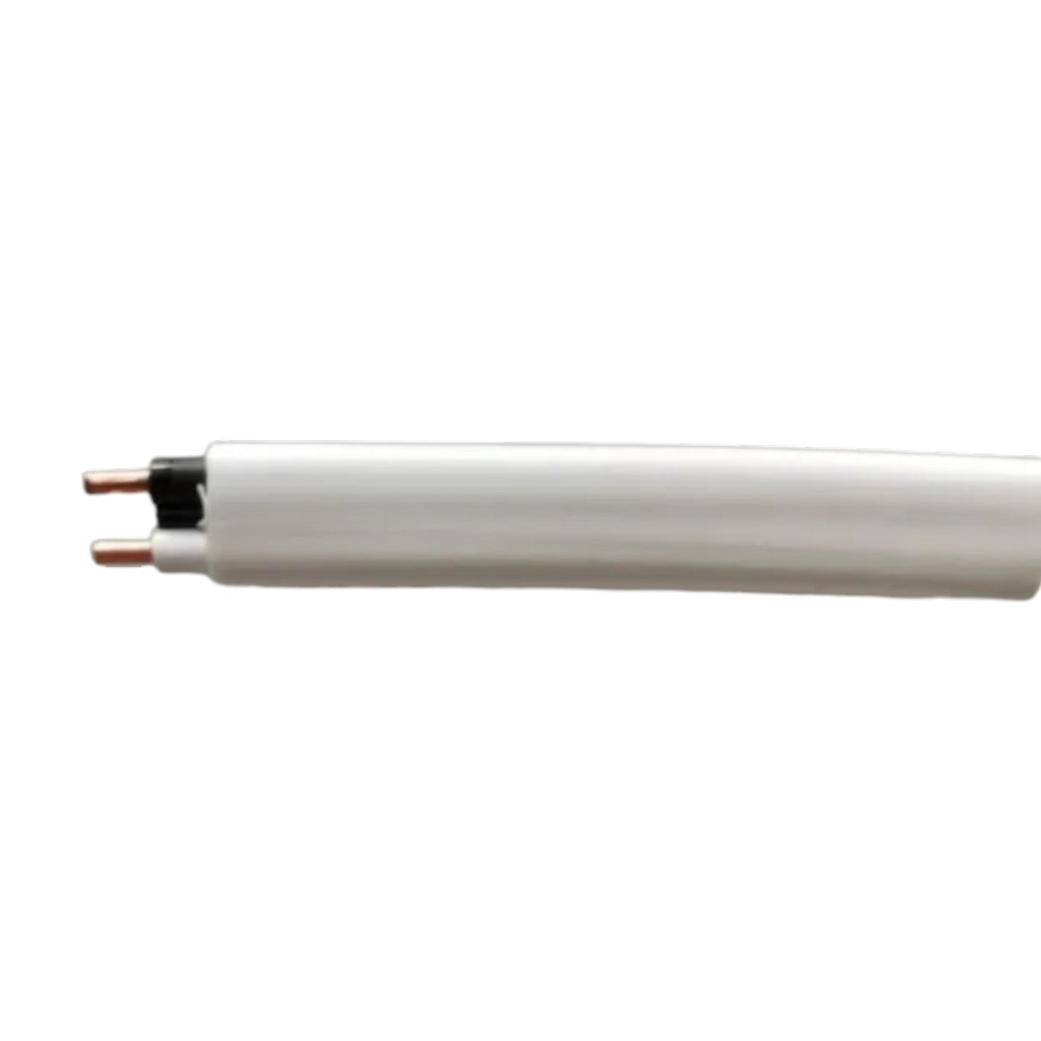 Metal screw on a white background