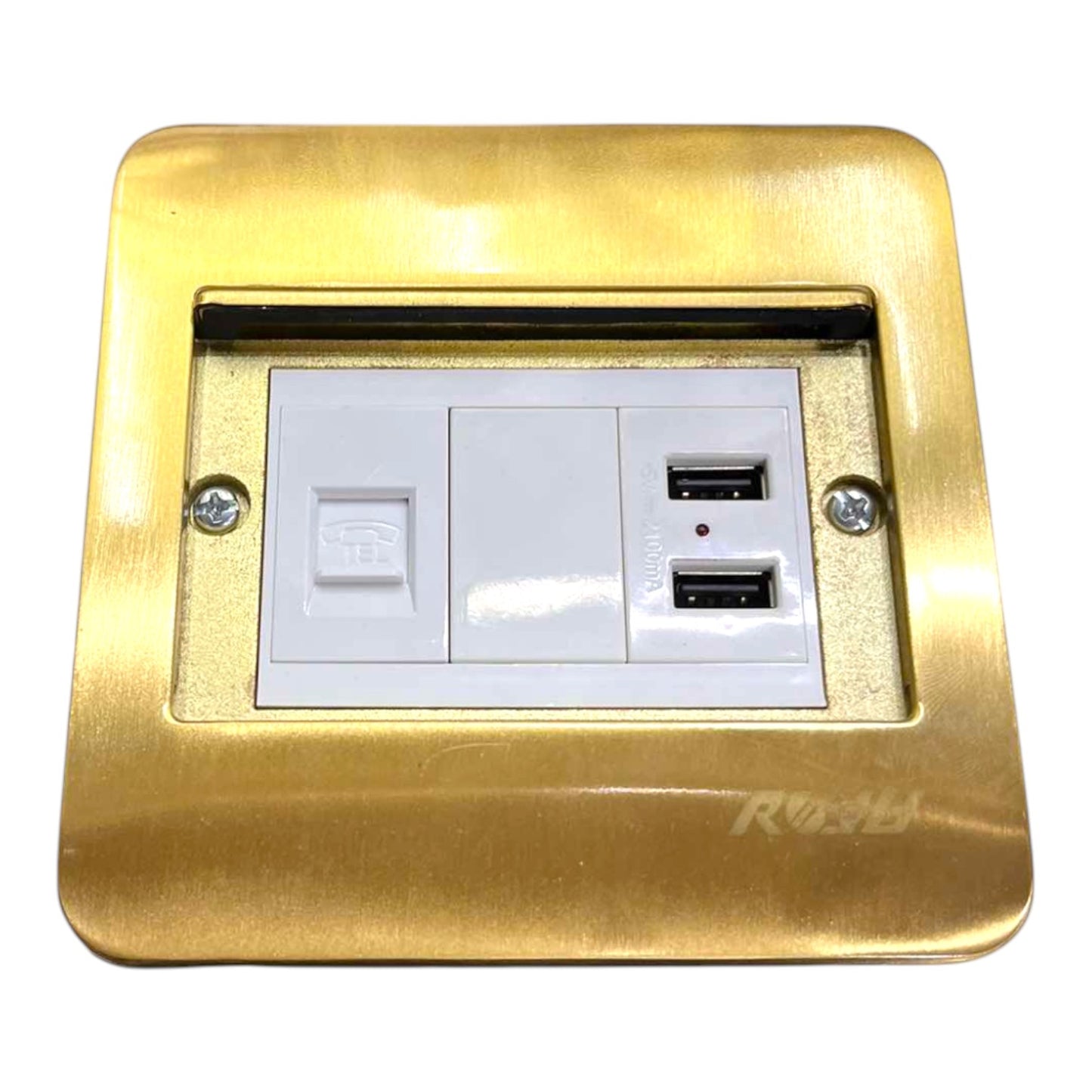 A gold-plated metal wall outlet cover plate featuring a white double socket with two USB-A ports and a power switch, shown on a plain white background.