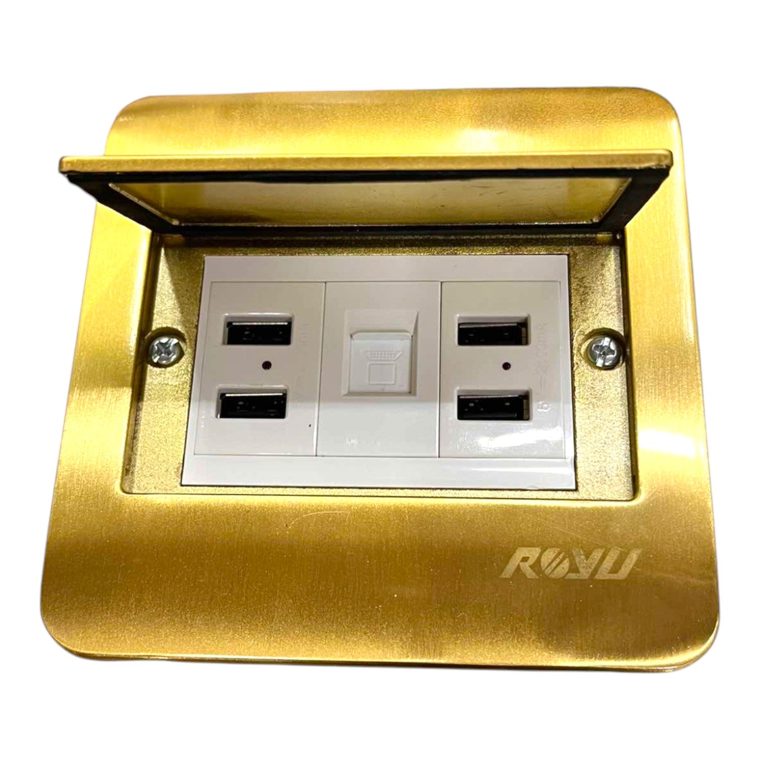 Royu Floor Outlet 4 Port USB Outlet 5V DC 2100mAh and LAN Outlet Available in Gold or Silver RWF/(RWO9)X2/RWX3 Electx Electrical Supply 1