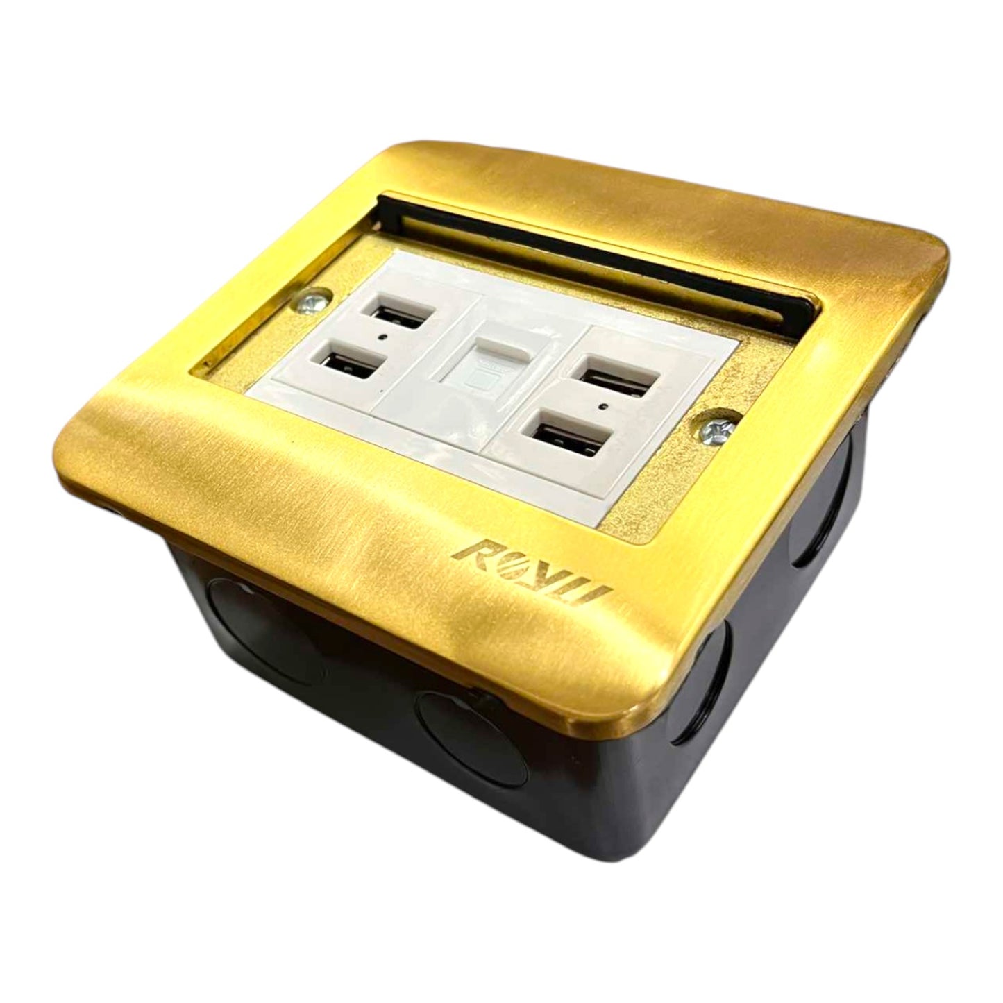 Royu Floor Outlet 4 Port USB Outlet 5V DC 2100mAh and LAN Outlet Available in Gold or Silver RWF/(RWO9)X2/RWX3 Electx Electrical Supply 1