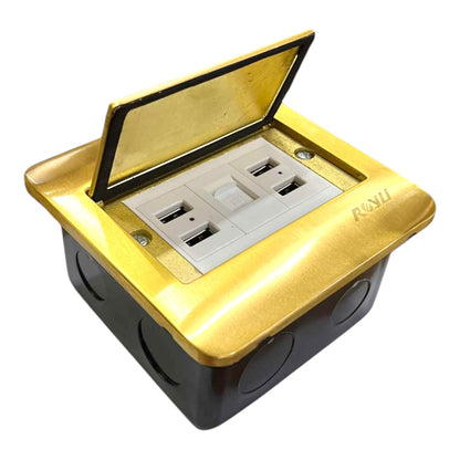 Royu Floor Outlet 4 Port USB Outlet 5V DC 2100mAh and LAN Outlet Available in Gold or Silver RWF/(RWO9)X2/RWX3 Electx Electrical Supply 1
