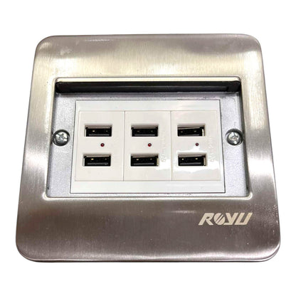 A silver brushed metal wall outlet cover plate with a white multi-port USB charger insert, featuring three USB-A ports and two USB-C ports, with the brand name ROYU printed on the bottom right.