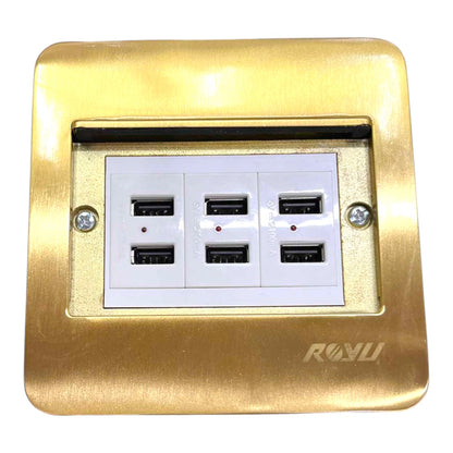 A gold-colored metal wall outlet cover plate featuring six USB-A ports arranged in two rows of three, set against a white insert plate with two silver screws on the side. The brand name 'ROUYI' is printed in gold on the bottom right corner.