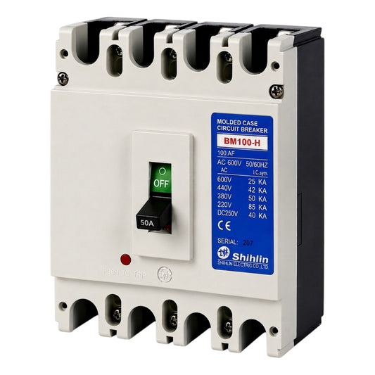 Shihlin BM100-H molded case circuit breaker with a white front, black side housing, and a blue technical specification label.