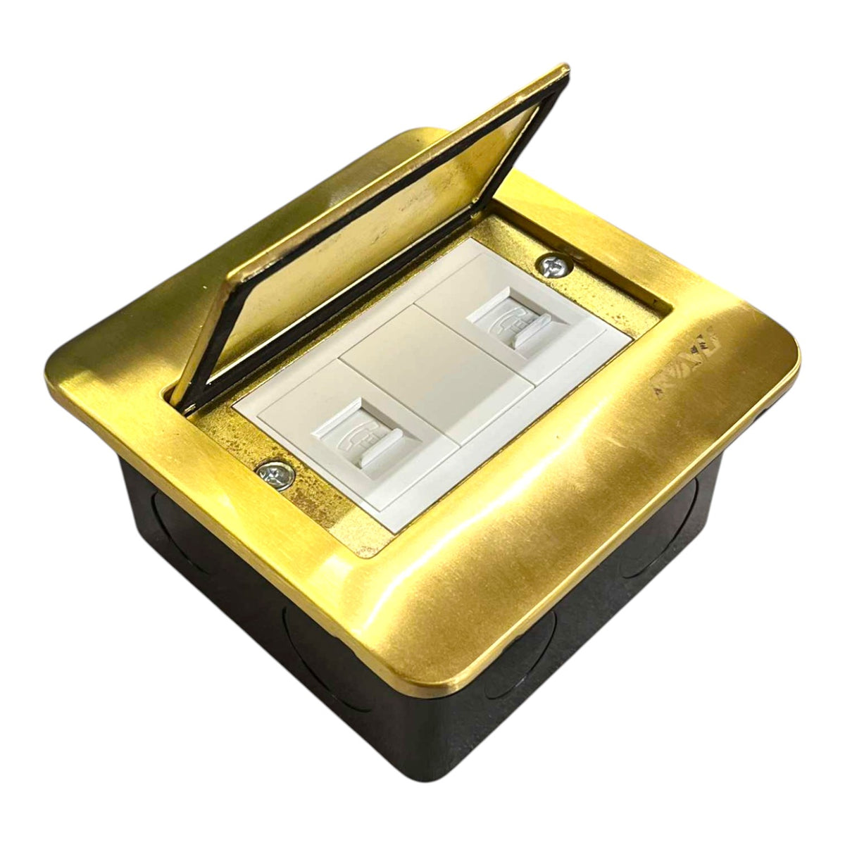 Royu Floor Outlet 2 Gang LAN Outlet Available in Gold and Silver