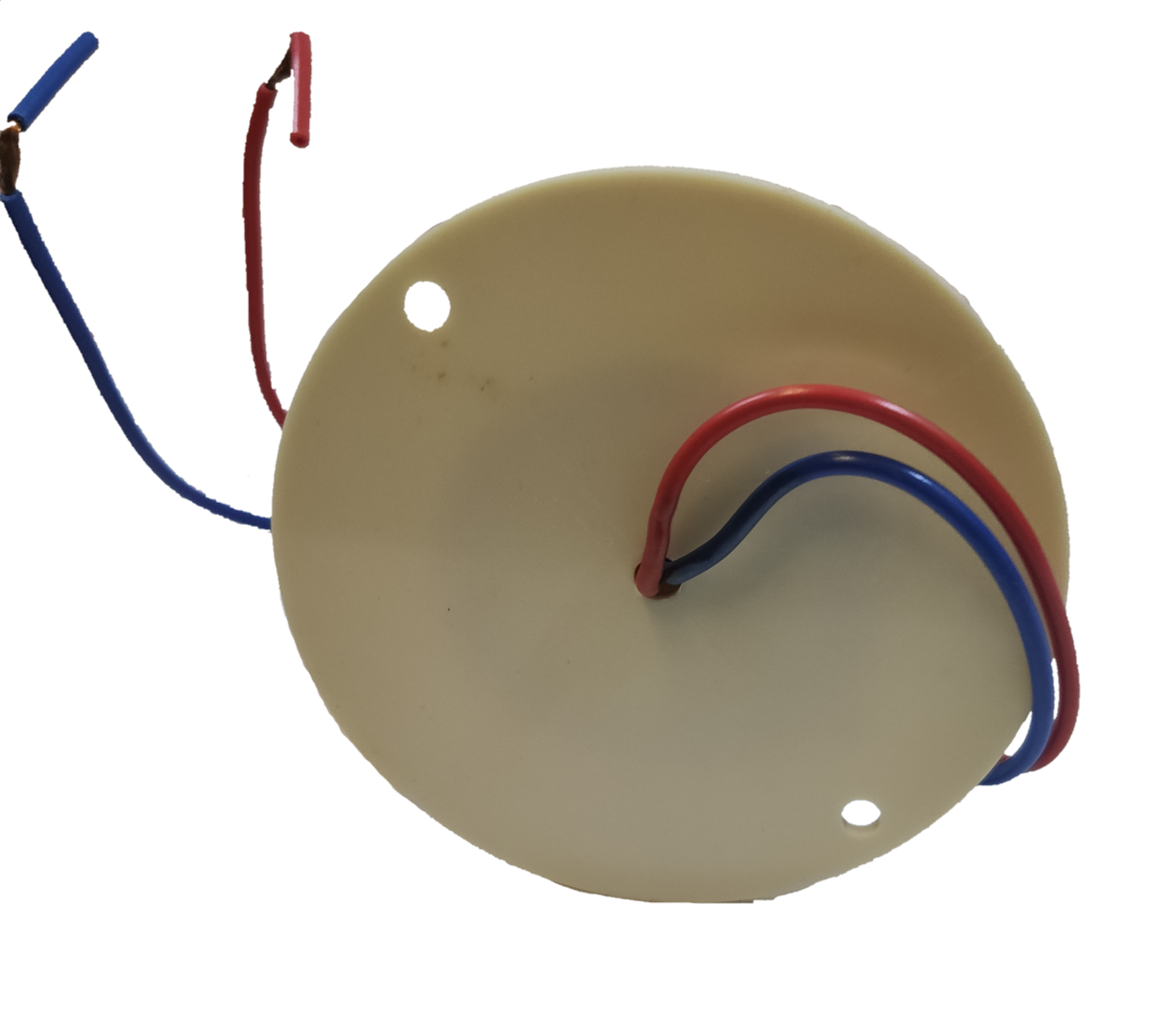 Sub Zero Blinking Light Xenon Bulb with red and blue wires for seasonal and decorative use