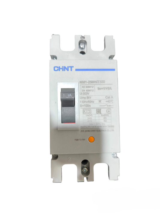 Chint 125A Industrial Circuit Breaker 2 Pole electrical component for industrial use
