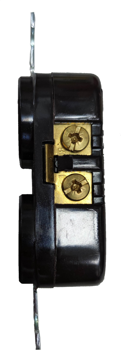 Eagle 2 Gang T-Slot Outlet 15A 250V black power point with brass screw terminals