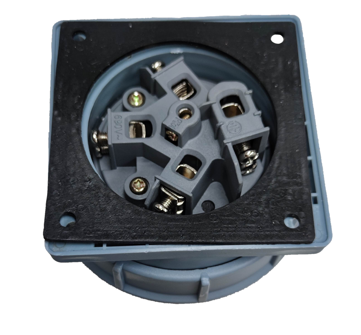 Grippes Electx Electrical Supply Socket with Durable Construction for Reliable Connections