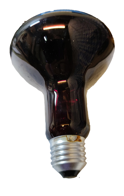 Philips 100W 240V E27 Infrared Lamp Red, Massage Lamp, Heat Lamp for Muscles