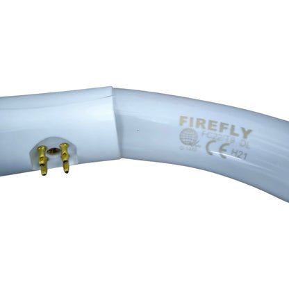 Firefly 22W Circular Lamp Fluorescent Tube G10q Daylight 6500K FC22/T9