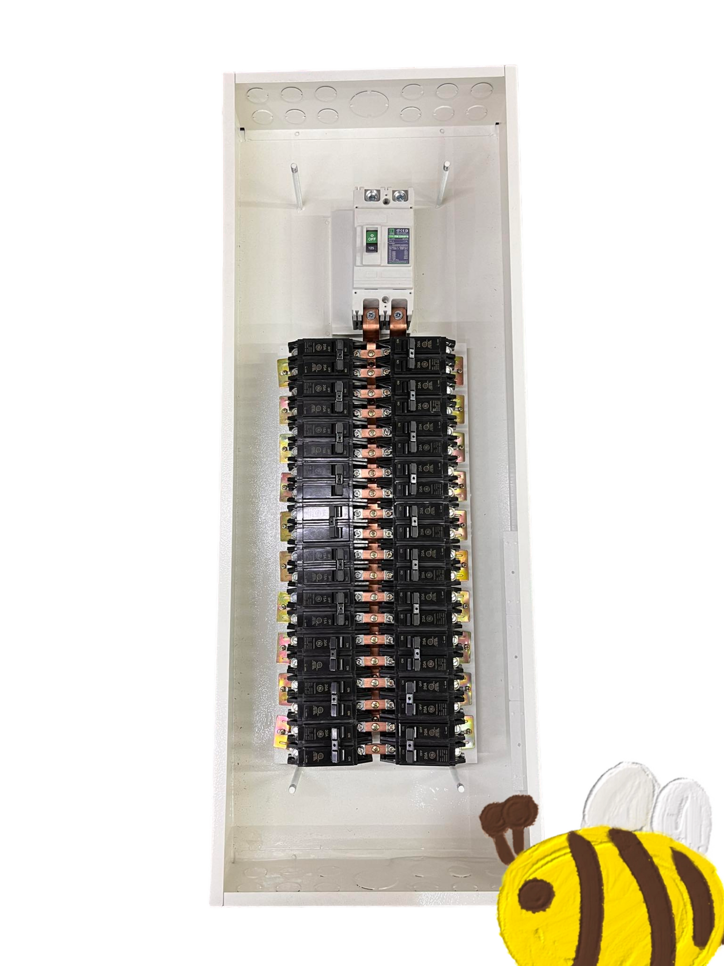GE Panel Board 250A 2Pole 250SPS with multiple circuit breakers in white metal enclosure