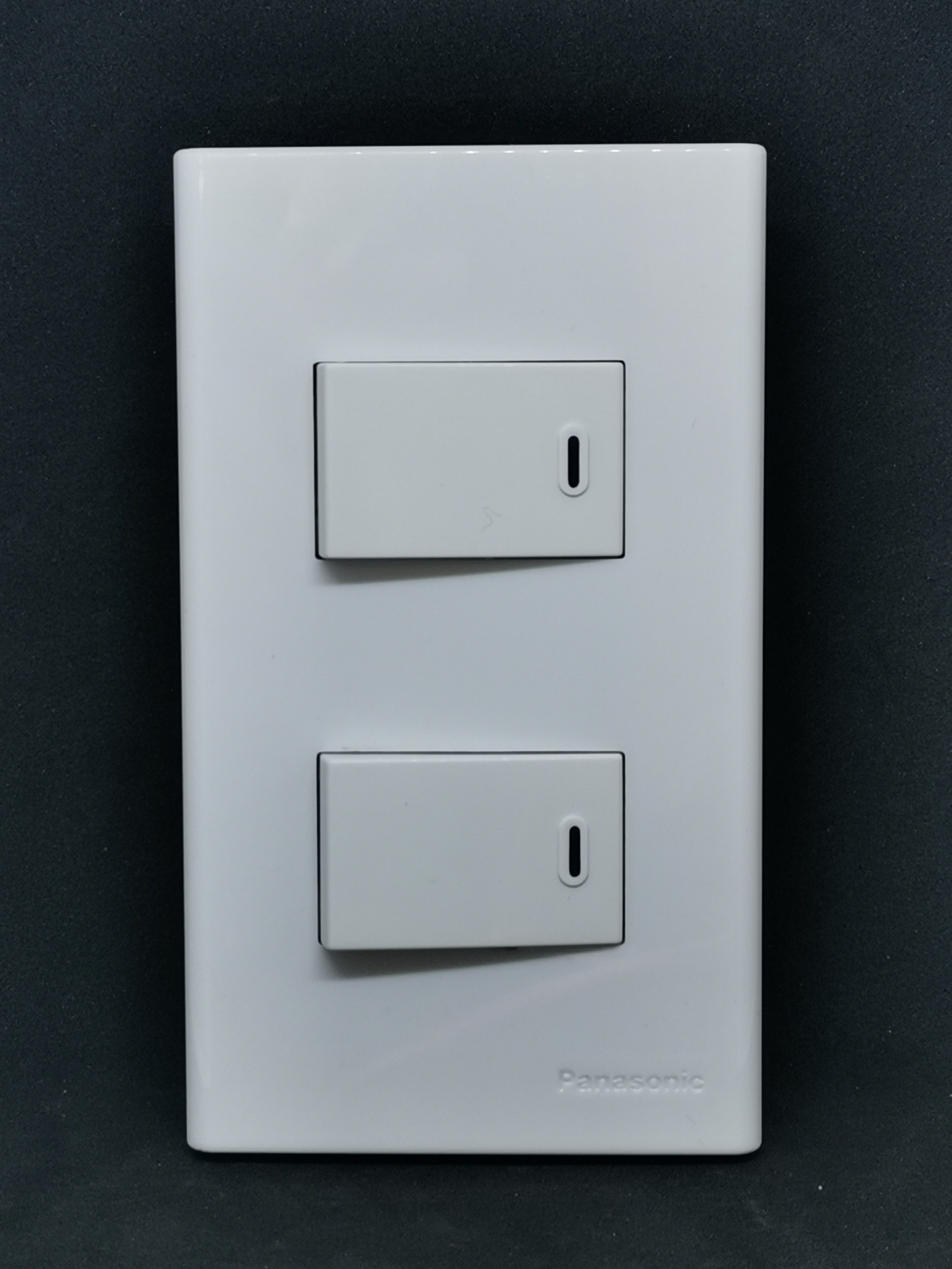 1 Way Switch 2 Gang Wide Series Panasonic | Electx Electrical Supply