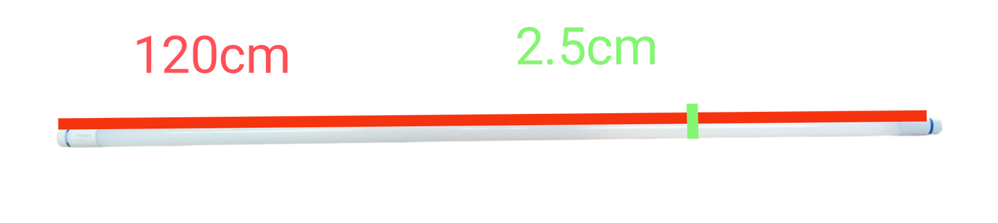 Philips 14W LED T8 tube daylight with dimensions of 120cm length and 2.5cm diameter for bright lighting