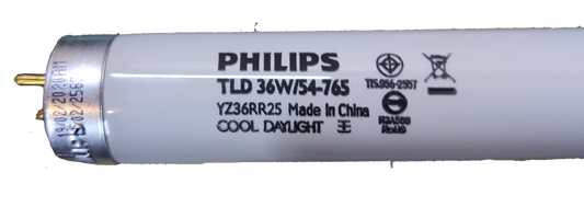 36W T8 fluorescent tube daylight by Electx Electrical Supply with cool daylight light output
