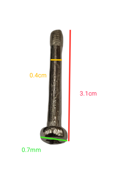 Local brand Philips Cross Positive Screw Long Screw Tip measuring 3.1 cm with metallic finish