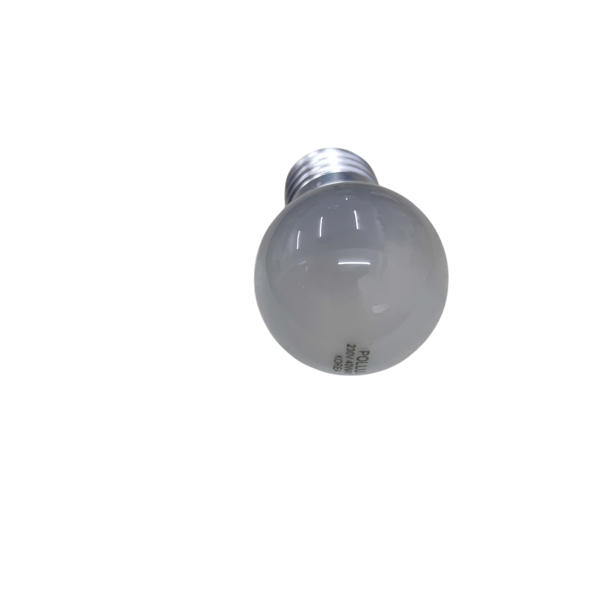 Pollux 40W incandescent bulb with a frosted globe for warm, ambient lighting