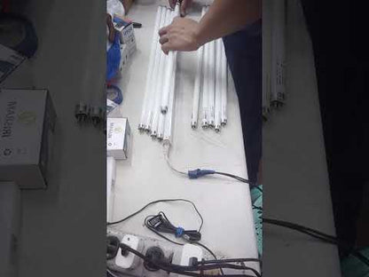 Firefly 14W T-5 Fluorescent Tube Daylight 6500 Tube Only