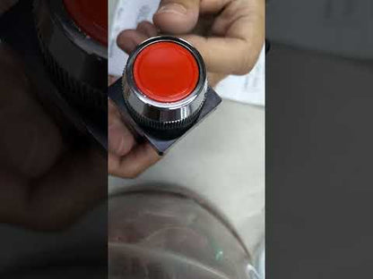 Auspicious Red Push Button Switch 25mm 3A 220V 2NO 2NC