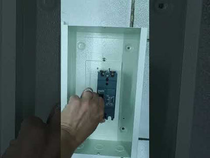 Schneider 50A 2Pole 10Kaic 220V 100AF Industrial Circuit Breaker MCCB Molded Case Circuit Breaker with Nema 1 Enclosure EZC100H2050