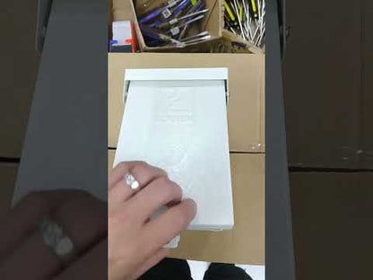 Chint 10A 2P 6KAIC 220V Miniature Circuit Breaker with Nema 3R Enclosure Outdoor NXB-63/C10 6KAIC