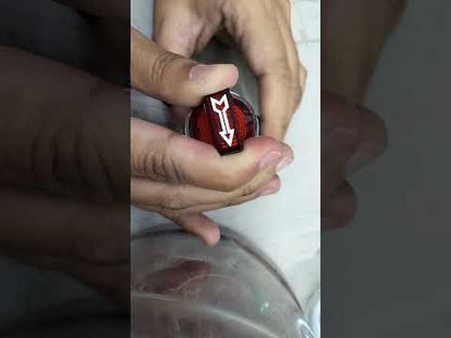 Auspicious Illuminated Selector Switch 22mm Red 2 Position 3A 220V