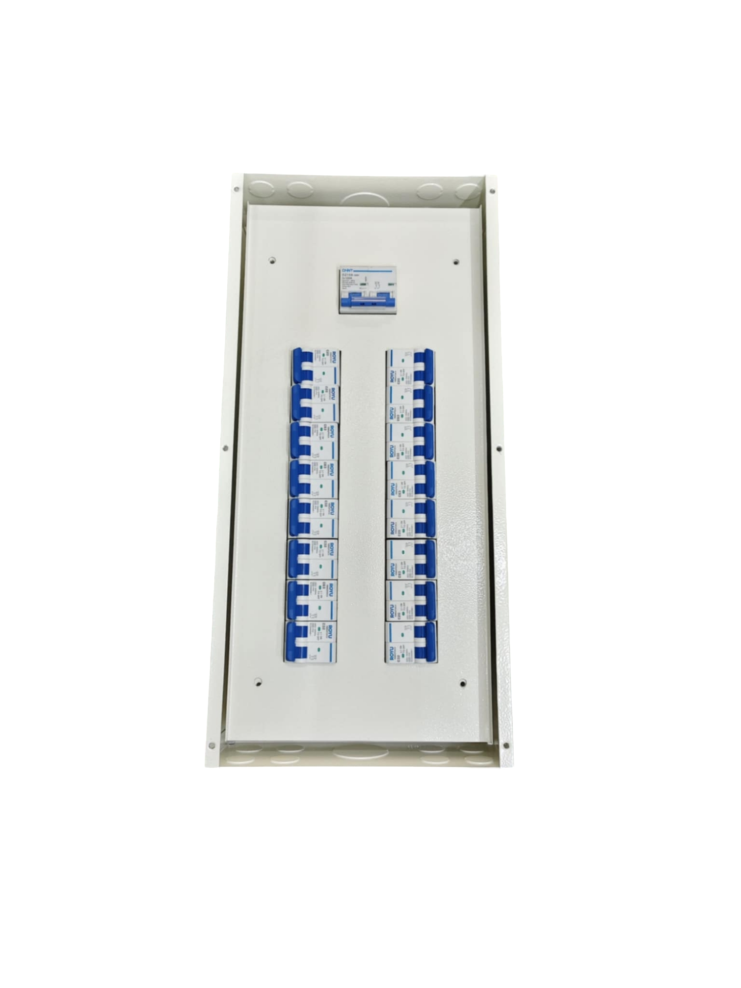 Chint Panel Board 16 Branches for 125A 2P MCB. White metal enclosure with two columns of blue 2P MCBs